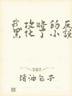 我攻略的反派都黑化了小说怎么下载