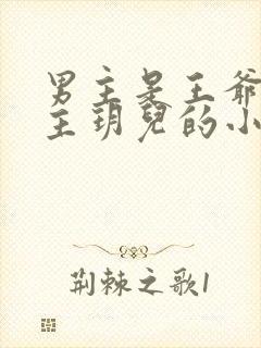 男主是王爷叫女主玥儿的小说