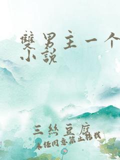 双男主一个女主小说