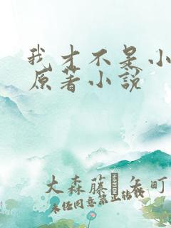 我才不是小可怜原著小说