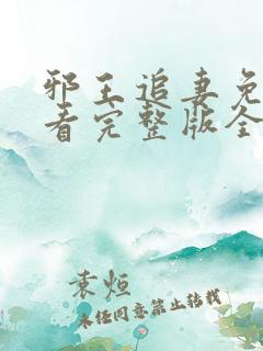 邪王追妻免费观看完整版全集