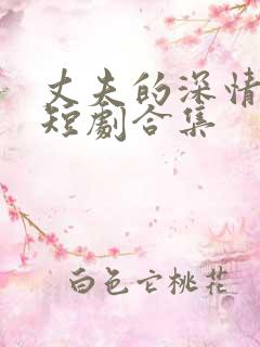 丈夫的深情谎言短剧合集