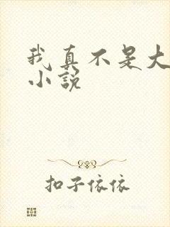 我真不是大反派小说