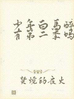 少年白马醉春风有第二季吗