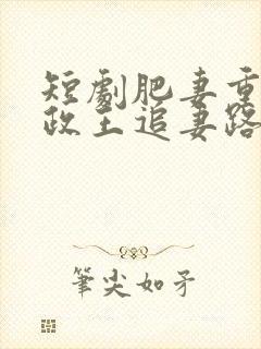 短剧肥妻重生摄政王追妻路漫漫免费