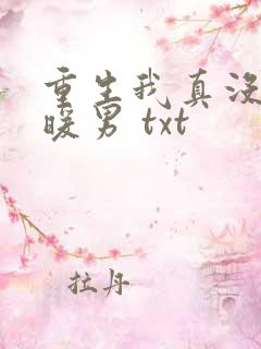重生我真没想当暖男 txt