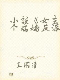 小说《女主她是个病娇反派》