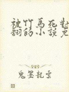 被竹马死对头吵翻的小说免费阅读