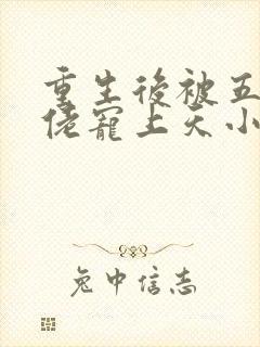 重生后被五个大佬宠上天小说免费看