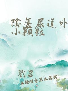 阴唇尿道外口有小颗粒