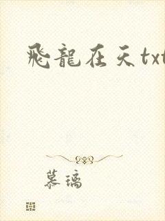 飞龙在天txt