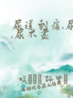 尿道刺痛,尿频,尿不尽