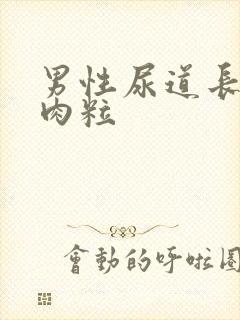 男性尿道长小红肉粒