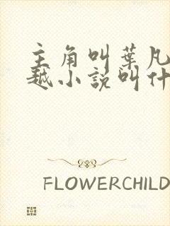 主角叫叶凡的穿越小说叫什么名字