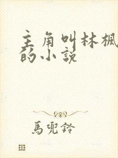 主角叫林枫穿越的小说