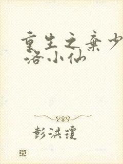 重生之弃少归来 洛小仙