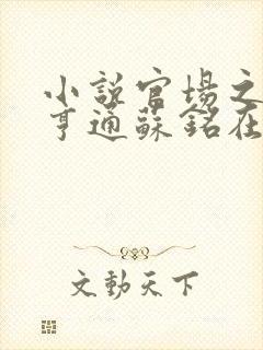 小说官场之官运亨通苏铭在线阅读