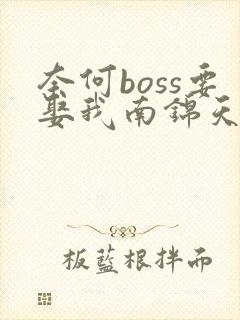 奈何boss要娶我南锦天