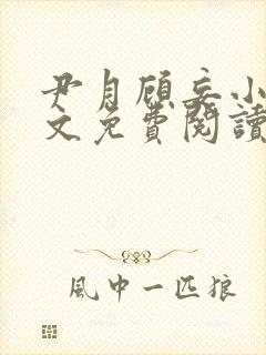 尹月顾妄小说全文免费阅读