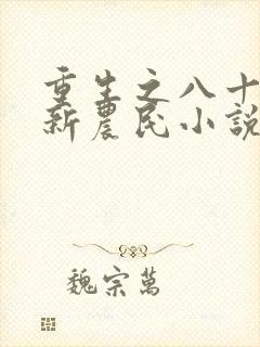 重生之八十年代新农民小说