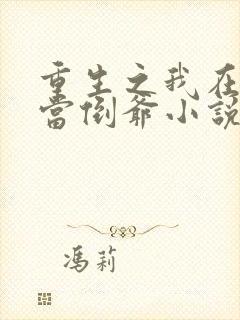 重生之我在末世当倒爷小说