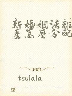 新婚姻法离婚财产怎么分配