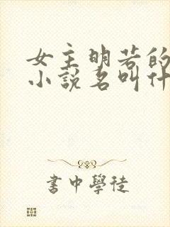 女主明若的穿越小说名叫什么