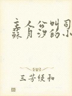 主人公叫司空靖苏月汐的小说名字叫啥