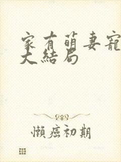 家有萌妻宠上天大结局