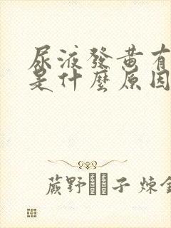 尿液发黄有泡泡是什么原因引起的?