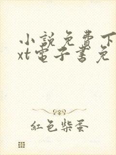 小说免费下载txt电子书免费下载