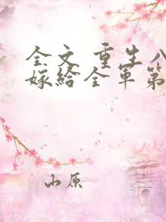 全文 重生八零嫁给全军第一硬汉