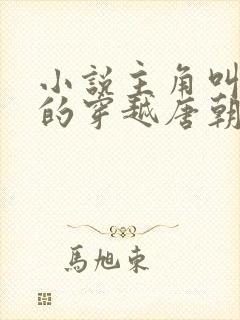 小说主角叫李辰的穿越唐朝小说