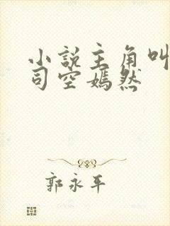 小说主角叫叶凡司空嫣然