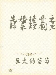 先婚后爱之亡夫归来短剧免费全集免费播放