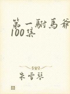 第一驸马爷1至100集