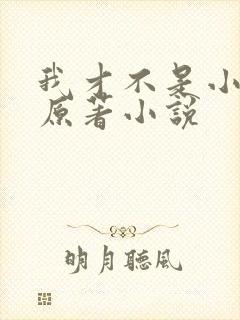我才不是小可怜原著小说