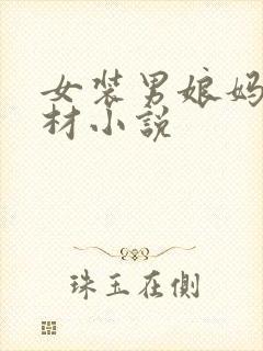 女装男娘妈妈题材小说