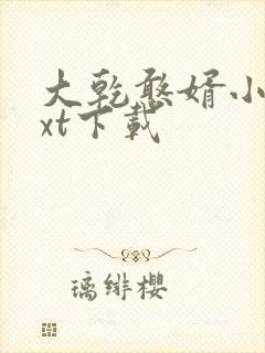 大乾憨婿小说txt下载