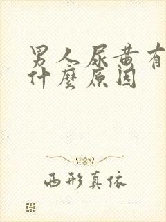 男人尿黄有沫是什么原因