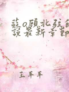 苏o顾北弦的小说最新章节免费阅读