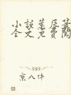 小说叶辰萧初然全文免费阅读最新章节