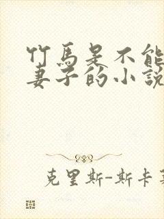 竹马是不能成为妻子的小说免费阅读