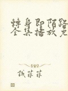 转身即陌路短剧全集播放免费观看