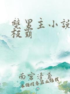 双男主小说校草校霸