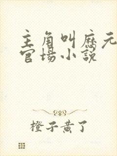 主角叫历元郎的官场小说