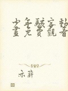 少年骇客动漫动画免费观看免费