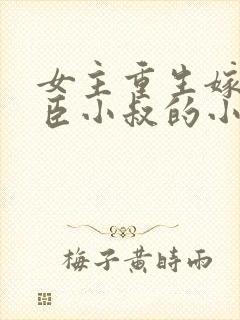 女主重生嫁给权臣小叔的小说