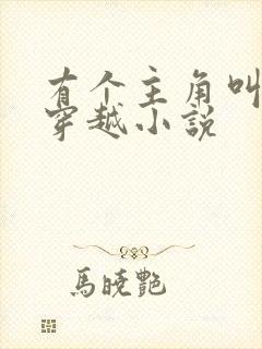 有个主角叫苏阳穿越小说