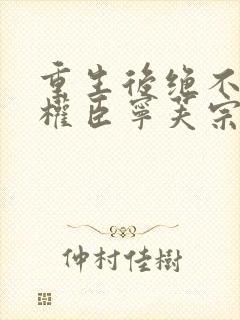 重生后绝不嫁给权臣宁芙宗肆大结局